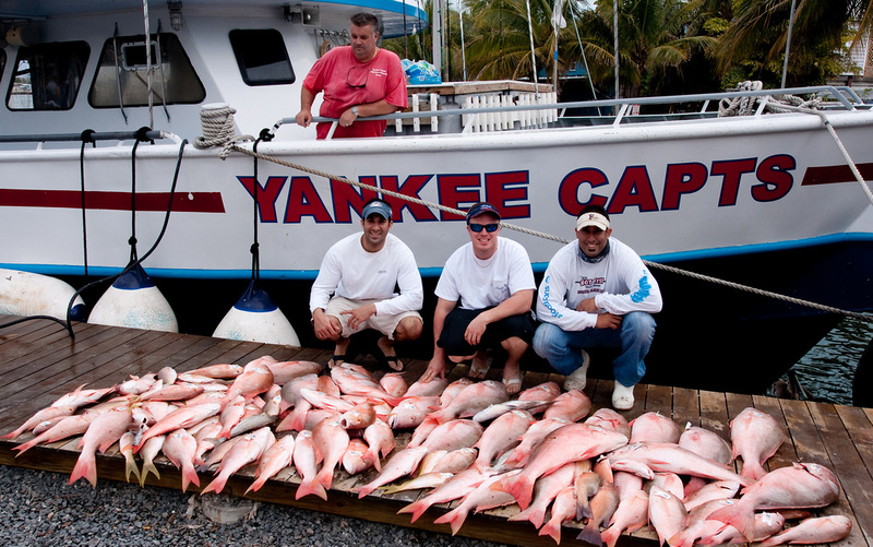 zenfolio-yankee-capts-offshore-fishing-inc-tortugas-trips